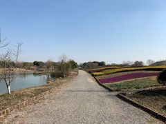 -梁鸿国家湿地公园