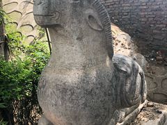-石羊农庄