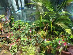 -国家植物园南园