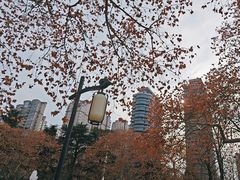 -渭滨公园