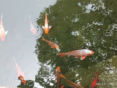 -东山雕花楼