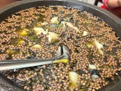 椒麻石锅鱼-佳禾苑小馆·重庆江湖菜(月坛南街店)