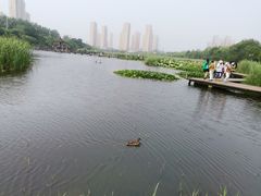 -前关湿地公园
