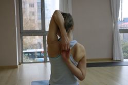 -酉嘉瑜伽YO+YOGA