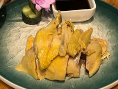 白斩鸡-椿不老