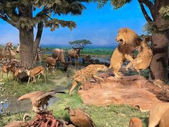 -国家自然博物馆