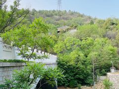 -白水寺森林公园