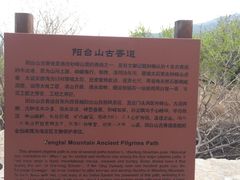 -阳台山自然风景区