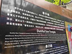 -王顺山国家森林公园