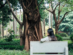 -东风公园