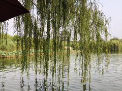 -济南大明湖景区