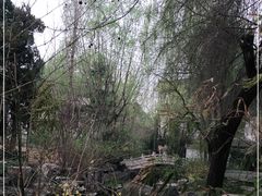 -水裹汤泉生活馆餐厅