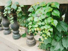 -湖南省立第一师范学校旧址