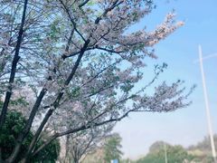 -幕燕滨江·燕子矶公园