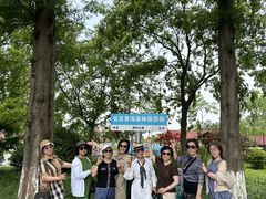 -黄海国家森林公园