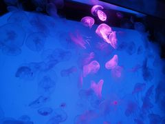 -沈阳海洋探索中心