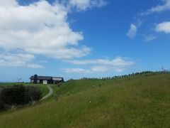 -怀希基岛