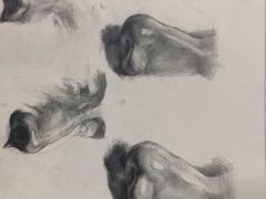 -青沐画室·专业美术培训