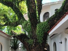 -澳门圣地牙哥古堡酒店