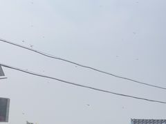 -辽宁团山国家级海洋公园