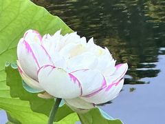 -邈墨茶馆(凤起路店)