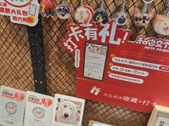 -和它·交个朋友·狗咖猫咖(爱琴海店)