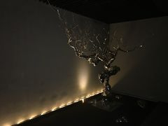 -桐寿司Sushi Tong