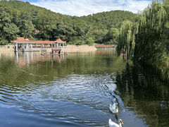-北岭山森林公园