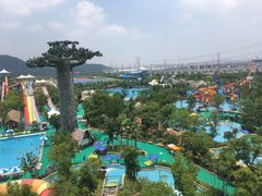 -苏州乐园森林水世界