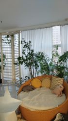 点击看大图 -Baby Pastel 自然光儿童摄影(CBD店)