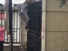 -熊猫不走蛋糕（同城送）(长沙店)