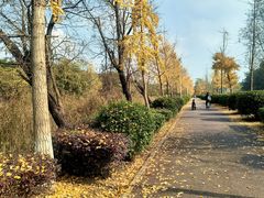 -白鹭湾湿地公园