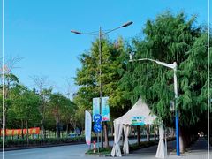 -上海长兴岛郊野公园