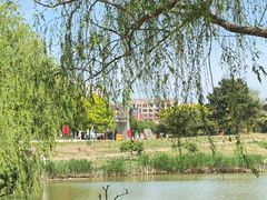 -塘沽森林公园