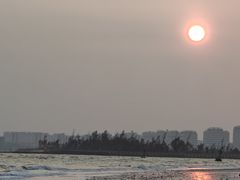 -东郊椰林