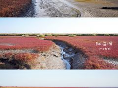 -红海滩国家风景廊道