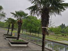 -白塘生态植物园