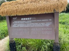-悬崖咖啡厅