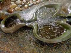 -成都市活水公园