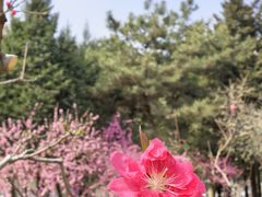 -太阳宫公园