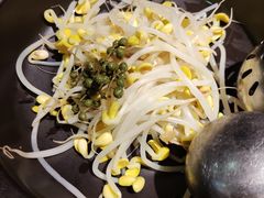 云海肴汽锅鸡-云海肴·汽锅鸡·云南菜(美罗城店)