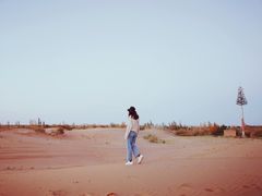 -亿利库布其七星湖沙漠生态旅游区