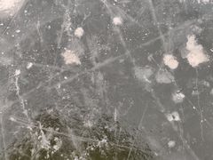 -东坝千亩湖公园