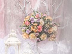 -星尚嫁日(红星国际广场店)