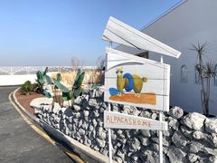 -Blue Concept Cafe&Farm·關於藍