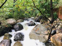 -云岫谷游猎自然风景区