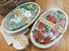 -油梨树 AVOCADO TREE(亮马桥店)