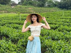 -美的鹭湖森林度假区