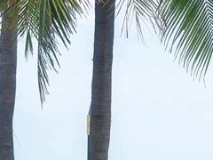 -日月湾海门游览区