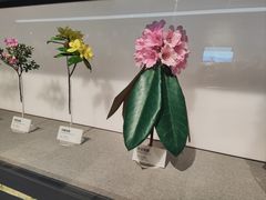 -四川大学博物馆